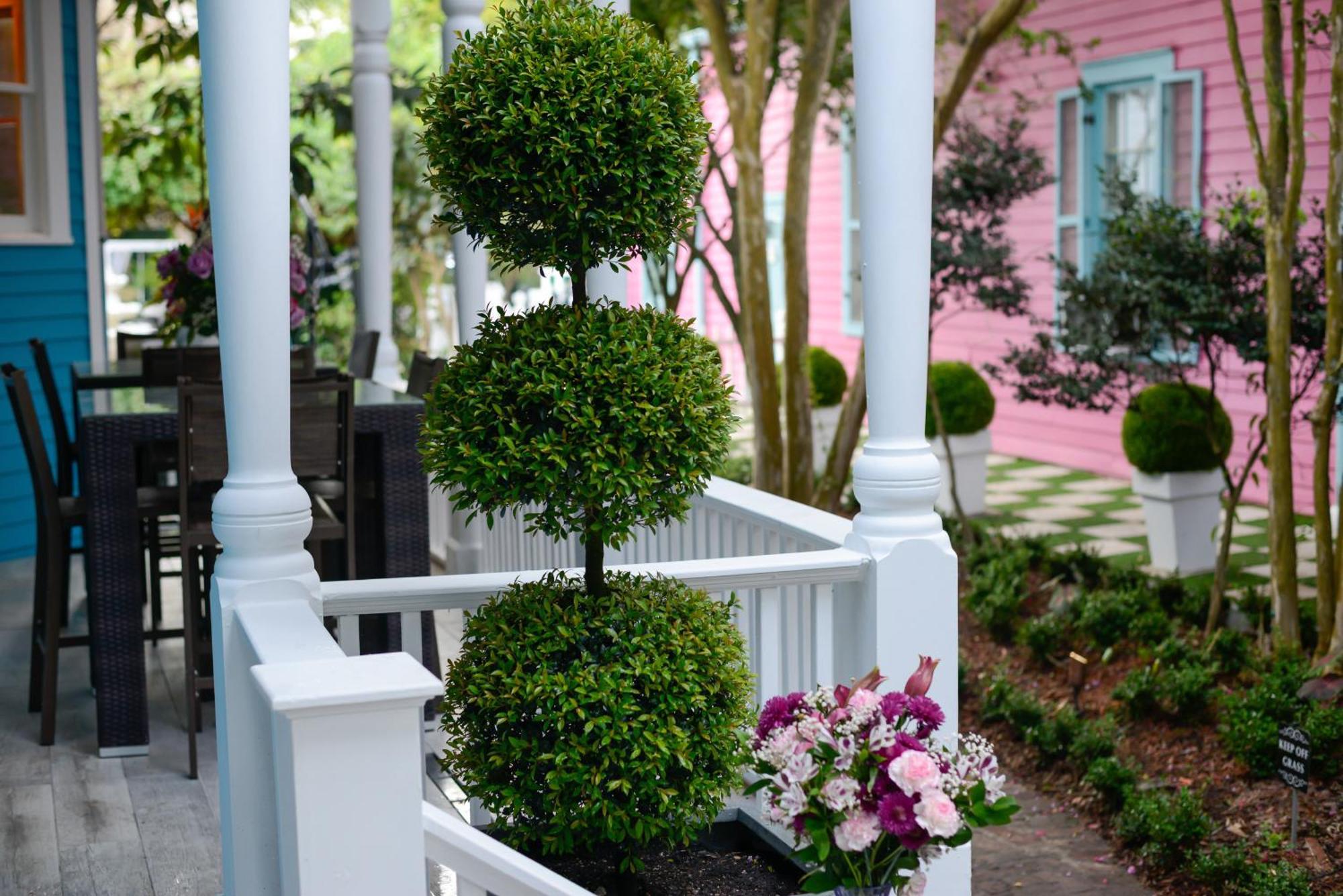 4 Bedroom - Sleeps 8! Celebrity Villa Next To Frenchman St Nueva Orleans Exterior foto